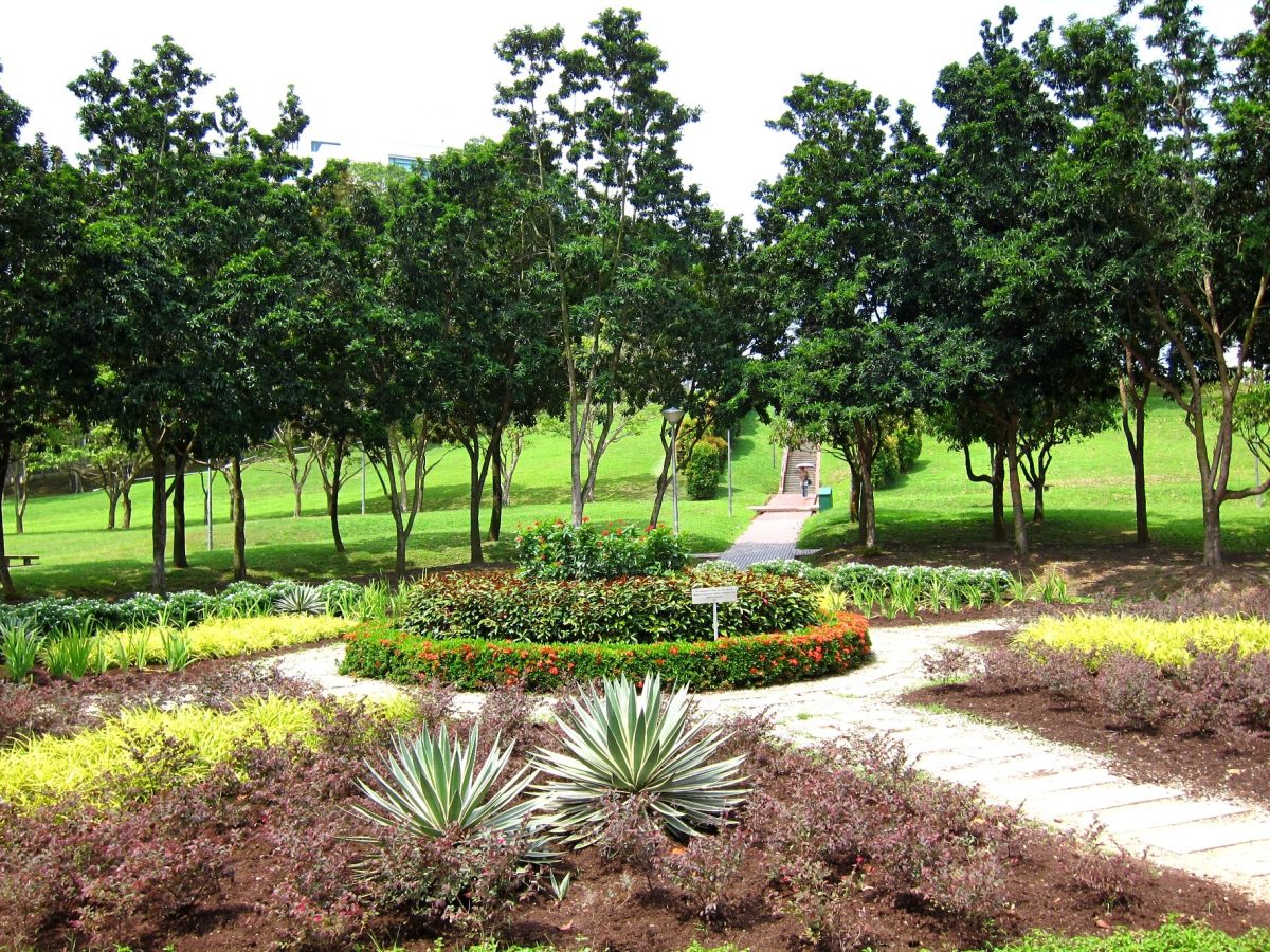 clementi woods park