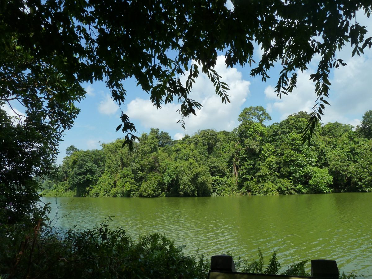 Lower Peirce Reservoir Park