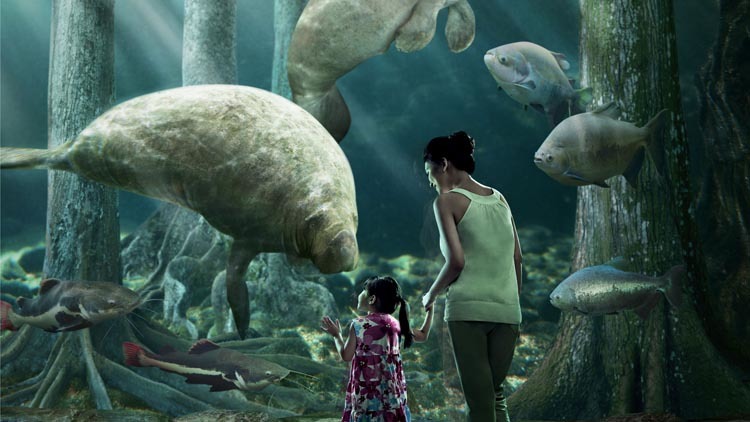 River Safari - Amazon Flooded Forest