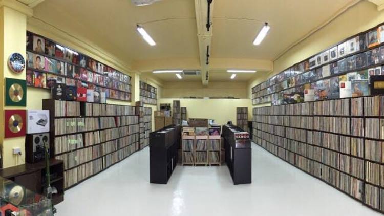 Roxy Disc House