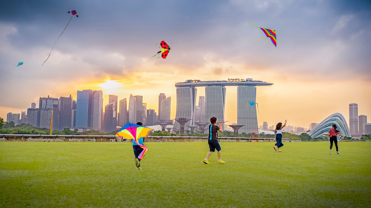 Kite flying at Marina Barrage