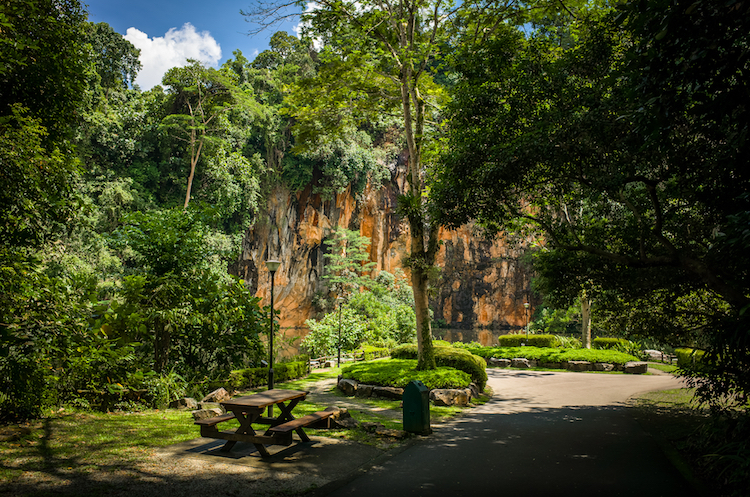 Bukit Batok Nature Park hiking trails
