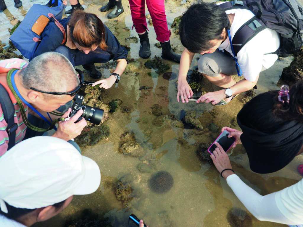 Sisters' Island Marine Park