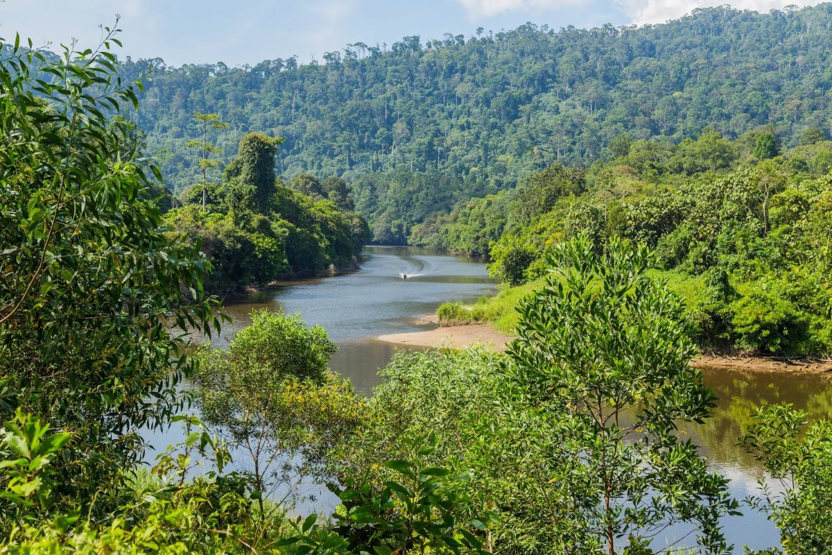 Ulu Temburong