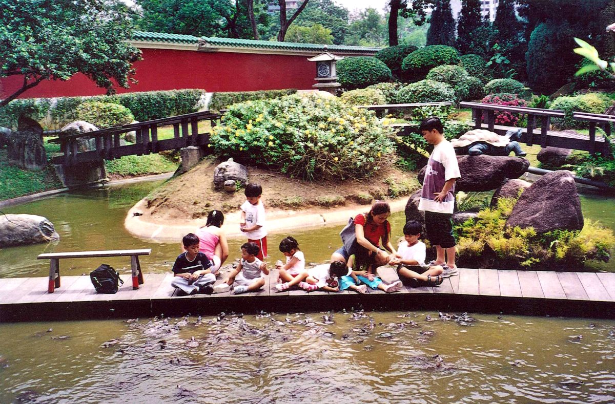 Turtle Museum