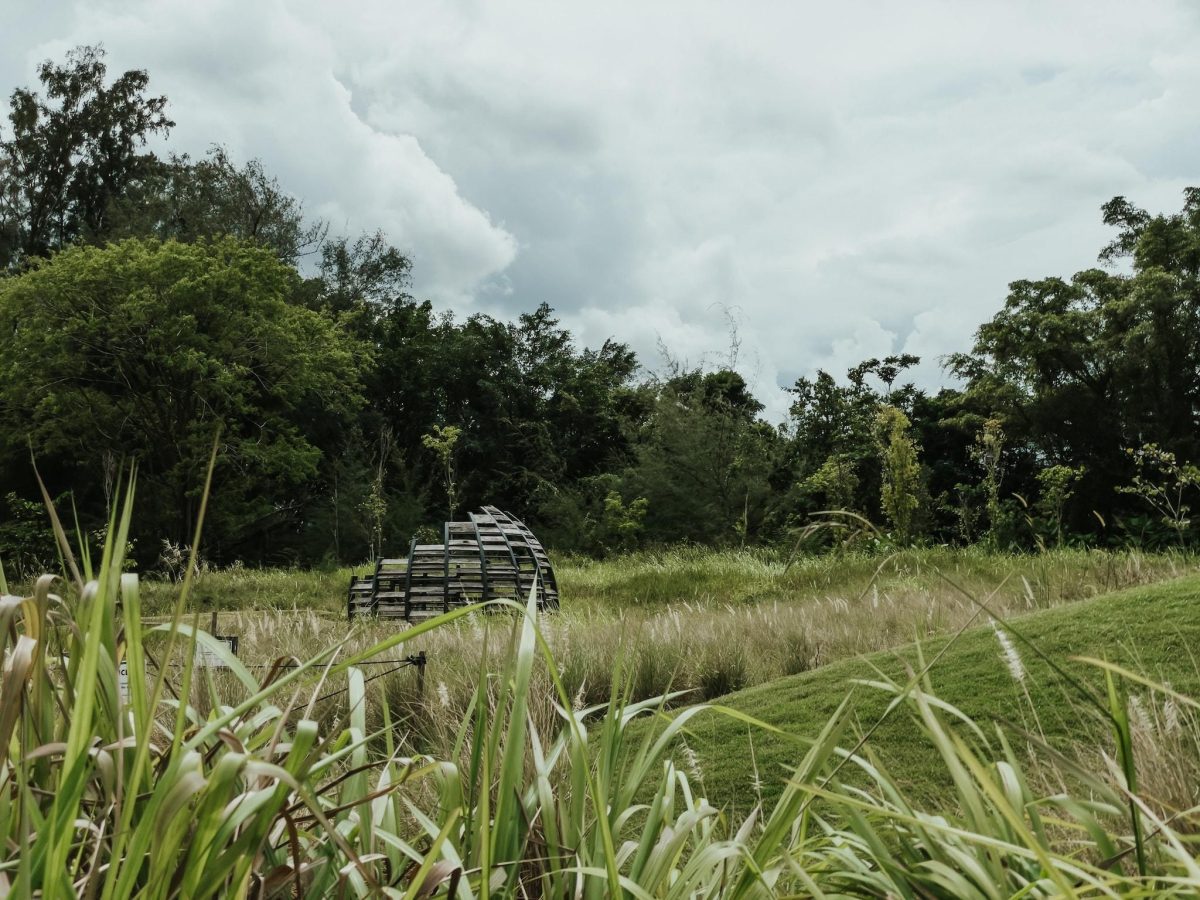 Grasslands Jurong Lake Gardens