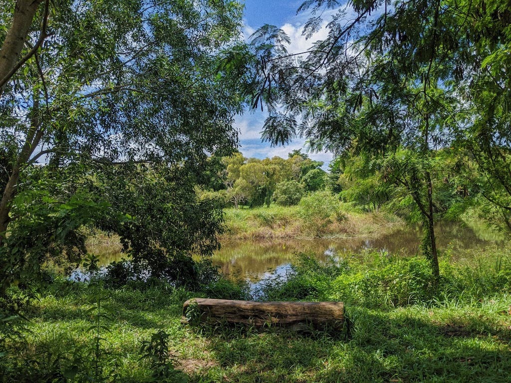 Tampines Eco Green