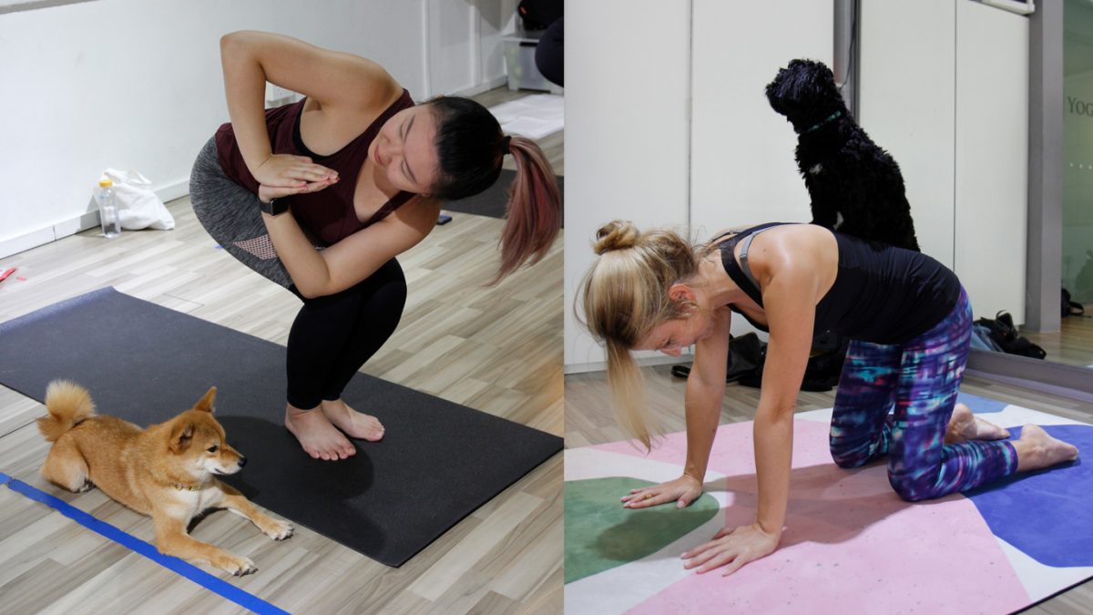 Puppy Yoga Singapore