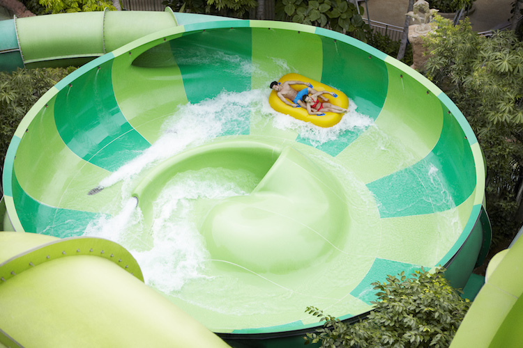 Adventure Cove Waterpark