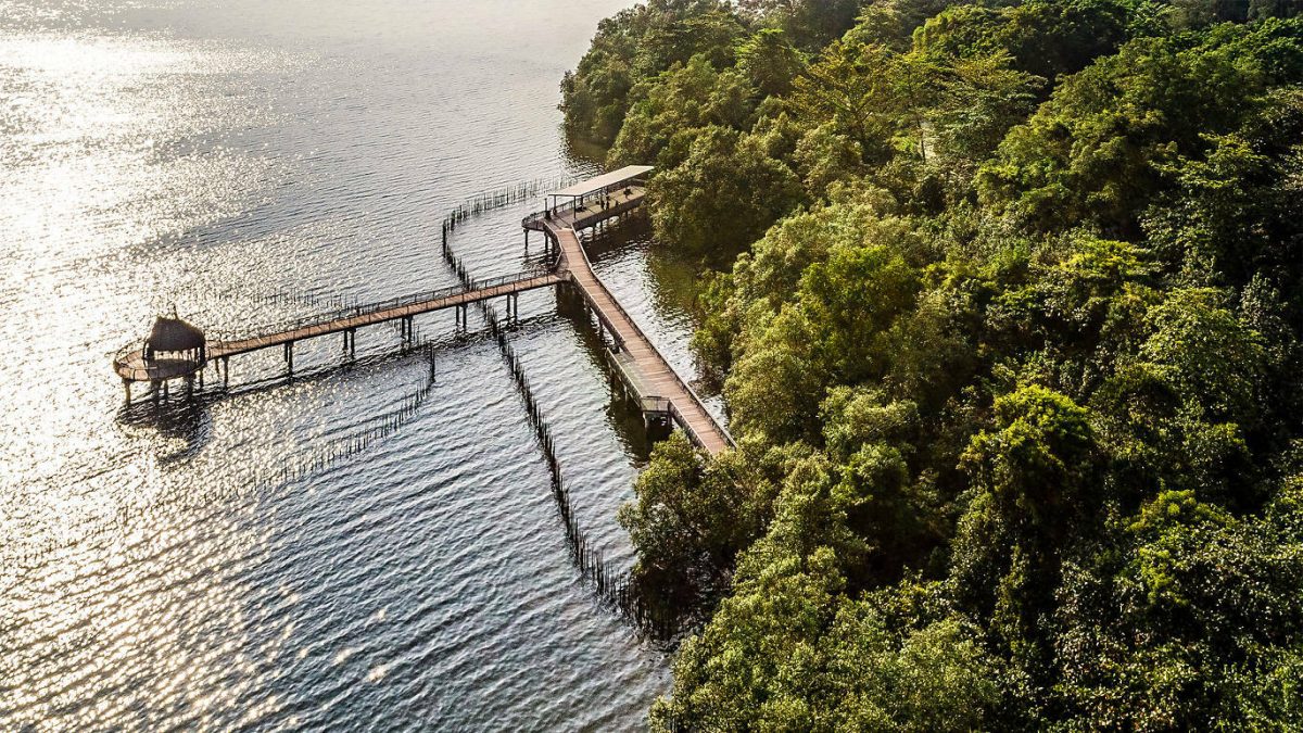 Photograph: Sungei Buloh Wetland Reserve