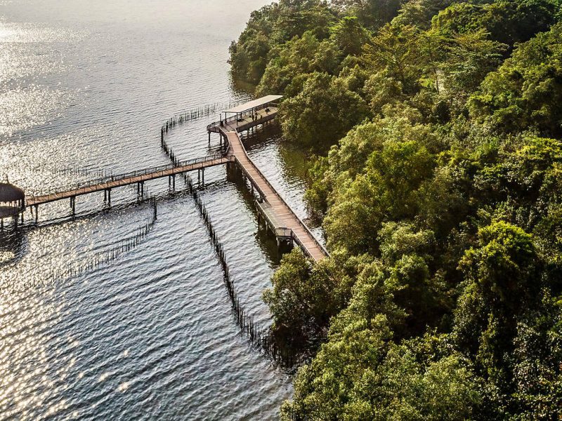 Photograph: Sungei Buloh Wetland Reserve