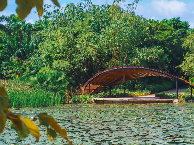 Kingfisher Wetlands